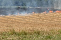 Son feu d’artifice incendie un champ à Avry: condamné