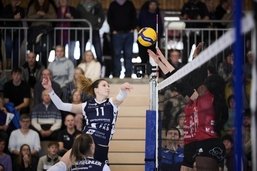 Volleyball: Victoire des Power Cats