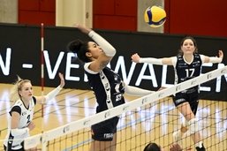 Volleyball: victoire pour les Power Cats