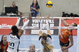 Volleyball: les Power Cats à deux doigts de l'exploit