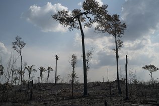 Brésil: record de feux de forêt de janvier à avril