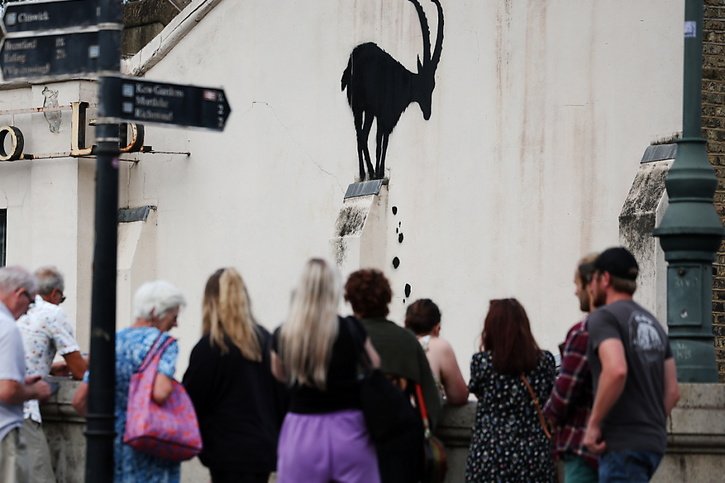 L'une des oeuvres peintes par Banksy est une chèvre, apparue lundi perchée sur un conduit sur un mur à Richmond, dans l'ouest de Londres. © KEYSTONE/EPA/ANDY RAIN