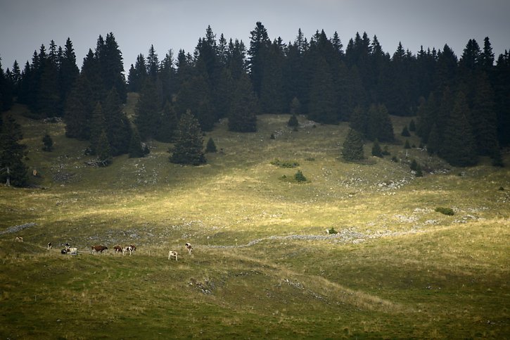 La localisation précise du nouveau toit du Jura est maintenue secrète (image prétexte). © KEYSTONE/LAURENT GILLIERON