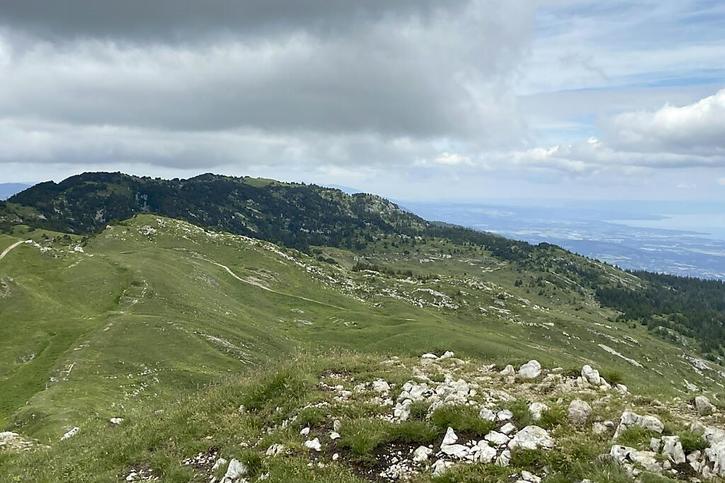 L'ancien point culminant du massif du Jura, le Crêt de la Neige, photographié depuis Le Reculet en 2024. (UNIL/KEYSTONE) © Keystone/UNIL